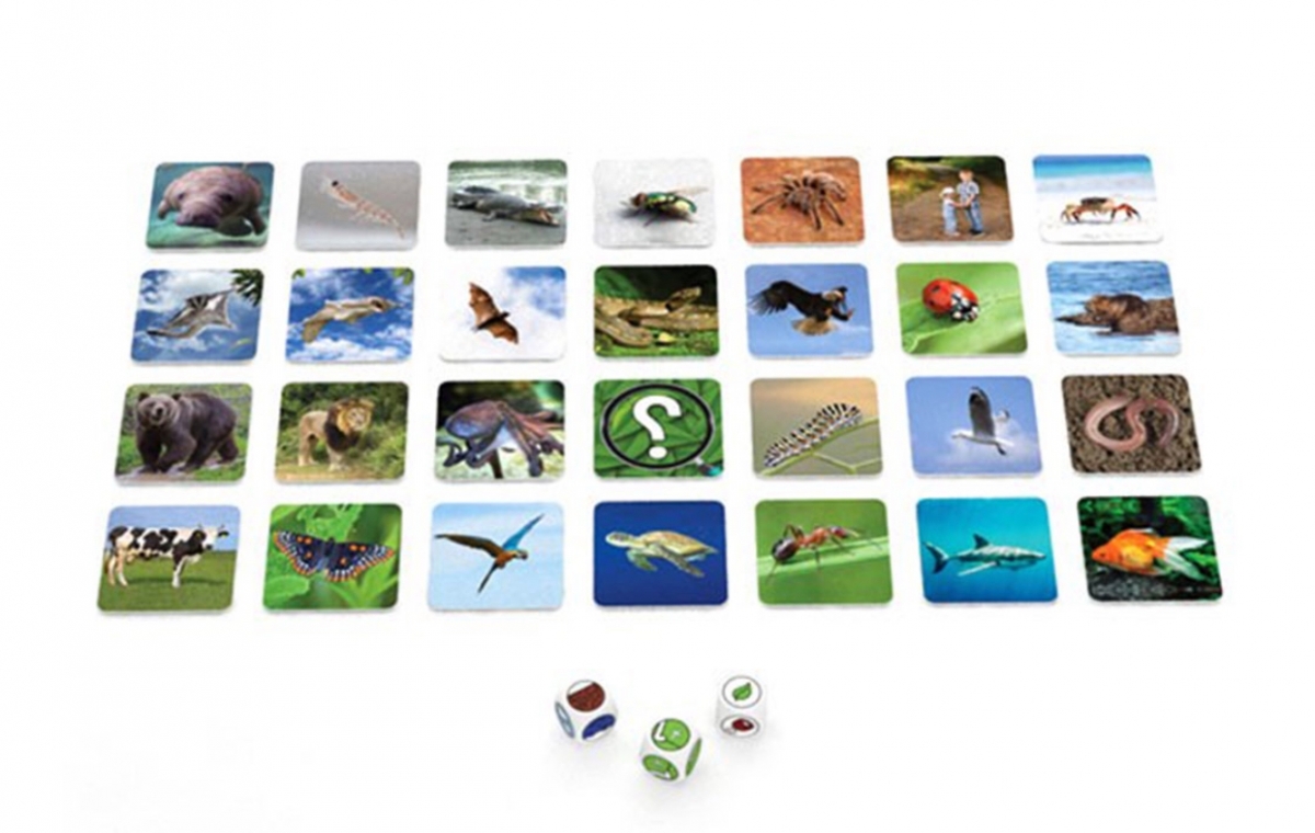 lg_115fe_a67c536f_3bc1_4d09_a4d4_949616